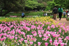 昭和記念公園　８
