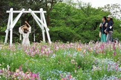 昭和記念公園　１１