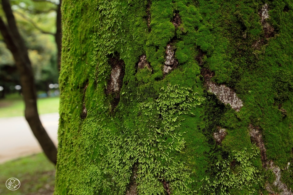公園の一隅