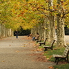 公園の人々－１０