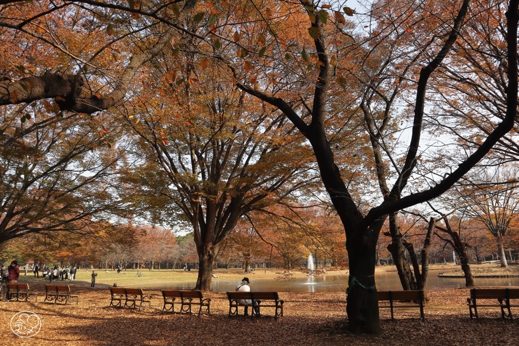 公園の秋　７