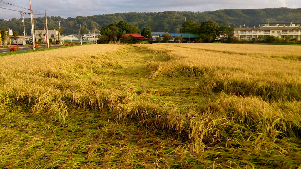 風の通り道