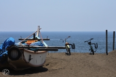 土曜日の海