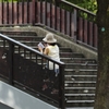 夏の階段