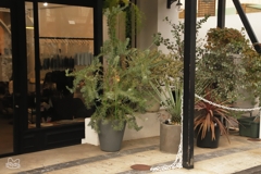 北青山界隈　２