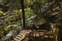 湯滝　４