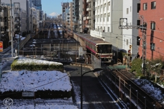 雪の翌日　１