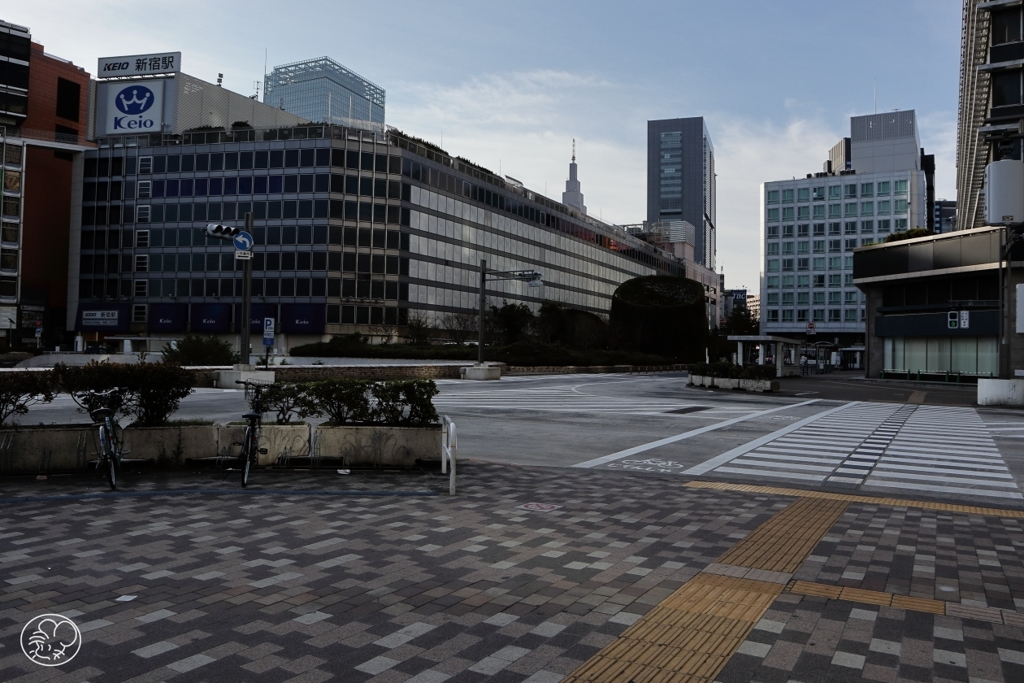 朝の散歩道 －８