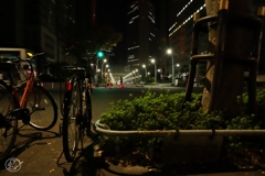 都庁前通りの夜