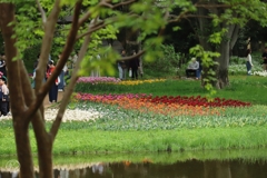 昭和記念公園　９