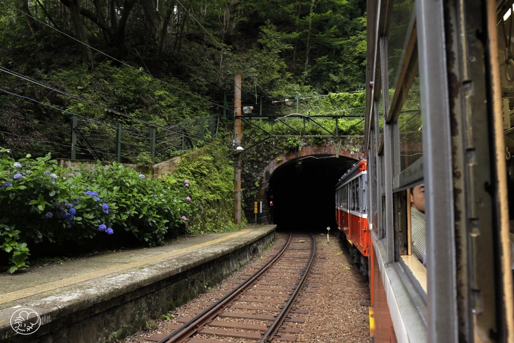 祝、７月運転再開