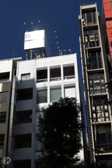 貸ーー