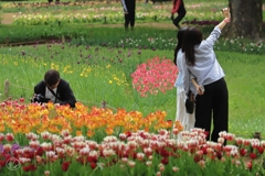 昭和記念公園　４
