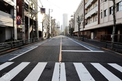 朝の散歩道 －２