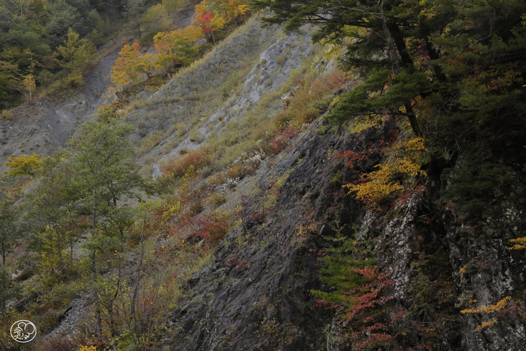 安曇の紅葉　４