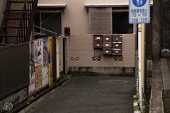 集合