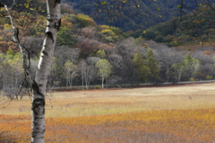 湿原秋襲
