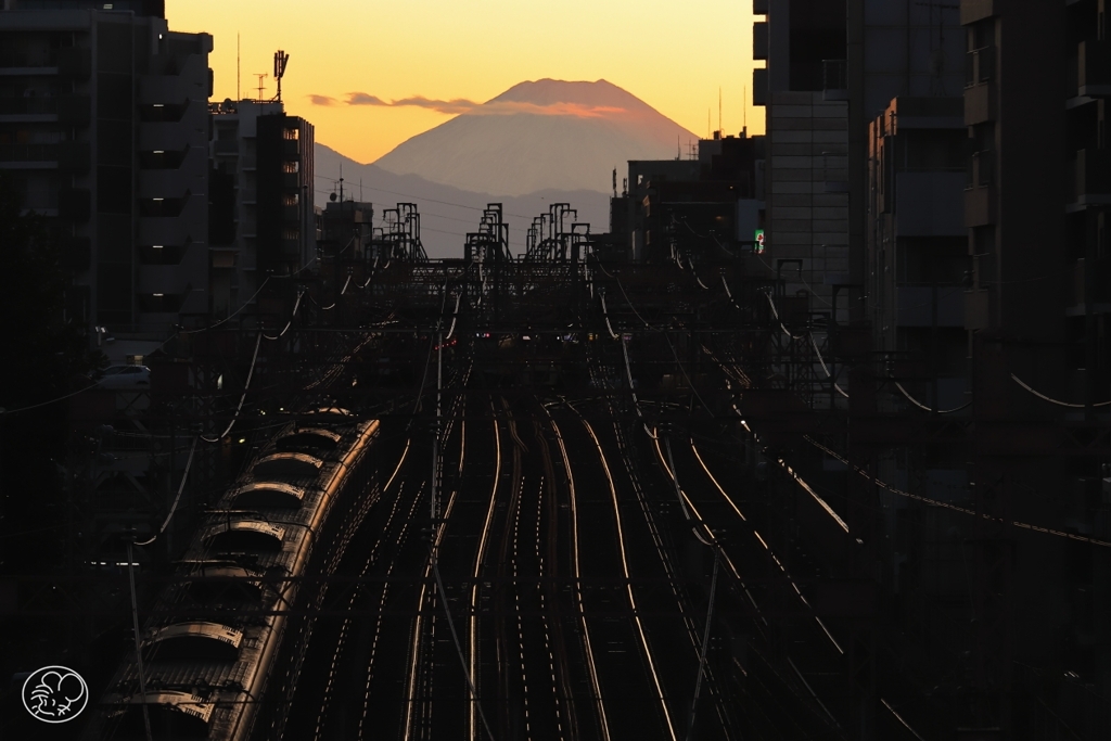 西に向かう下り電車　３