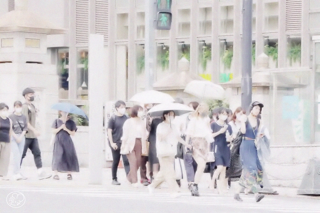 真夏の青信号