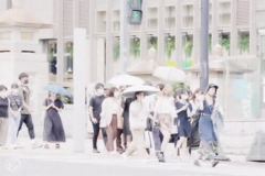 真夏の青信号