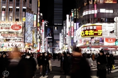 夜のゴジラロード