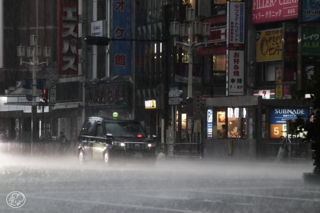 暗い雨
