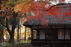 蘆花恒春園