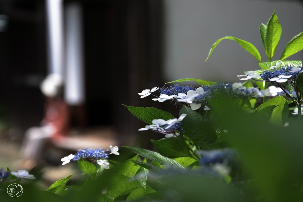 梅雨の晴れ間　Ⅰ