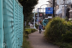 日暮れの散歩道 －１