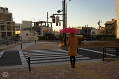 冬の日傘