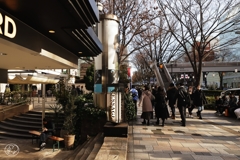表参道　１