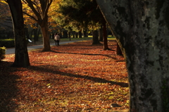 公園の人々－８