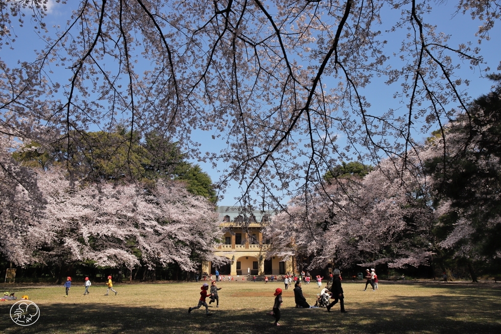 幸せは花のように