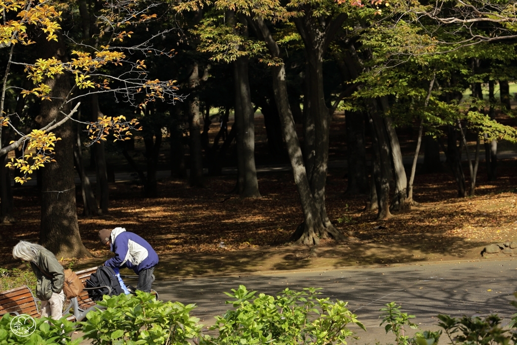 日の当たる場所から