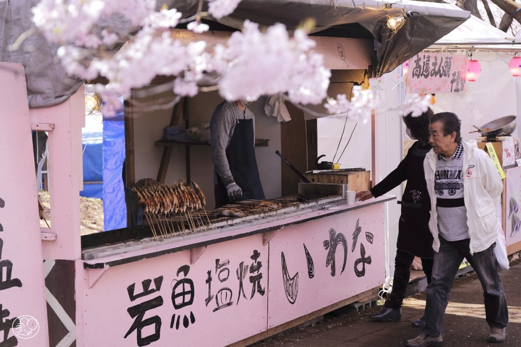 高遠の桜 －２１