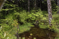 明神二之池　４