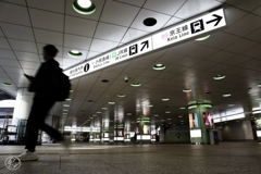 朝の散歩道 －１０