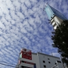 秋雲