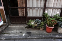 商店街の片隅で