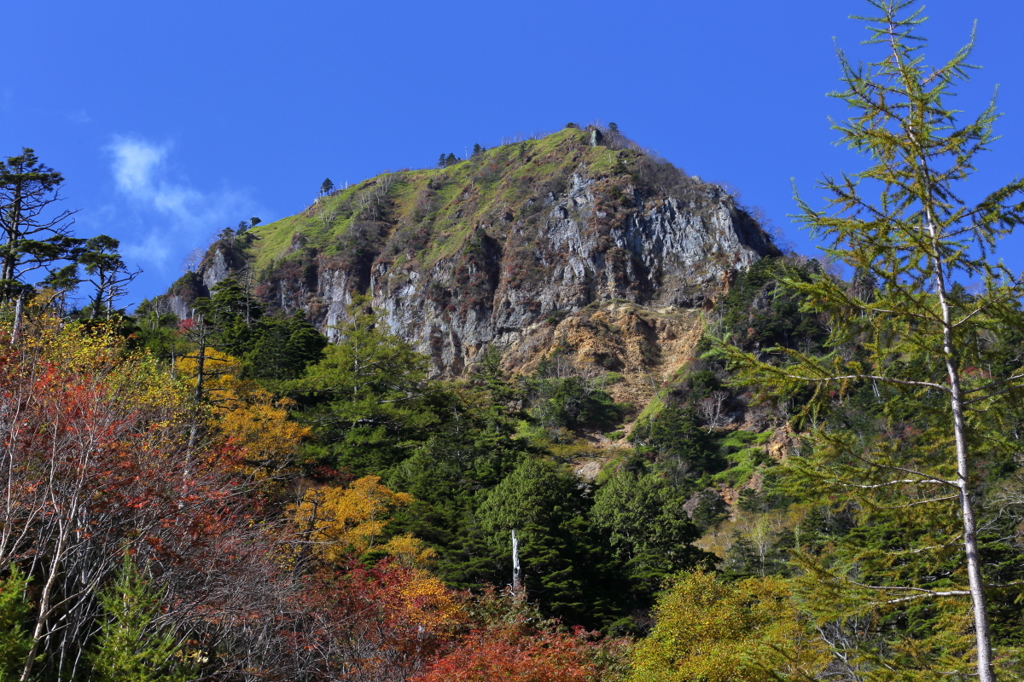 峠のもみじ