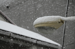 雪の日は