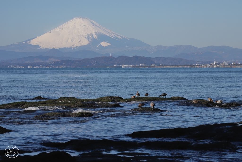 快晴、波静か