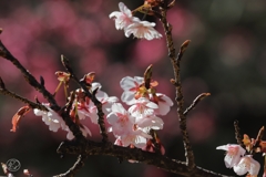 暖光