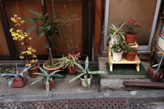 商店街の片隅に