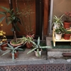 商店街の片隅に