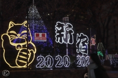 静かな正月　８