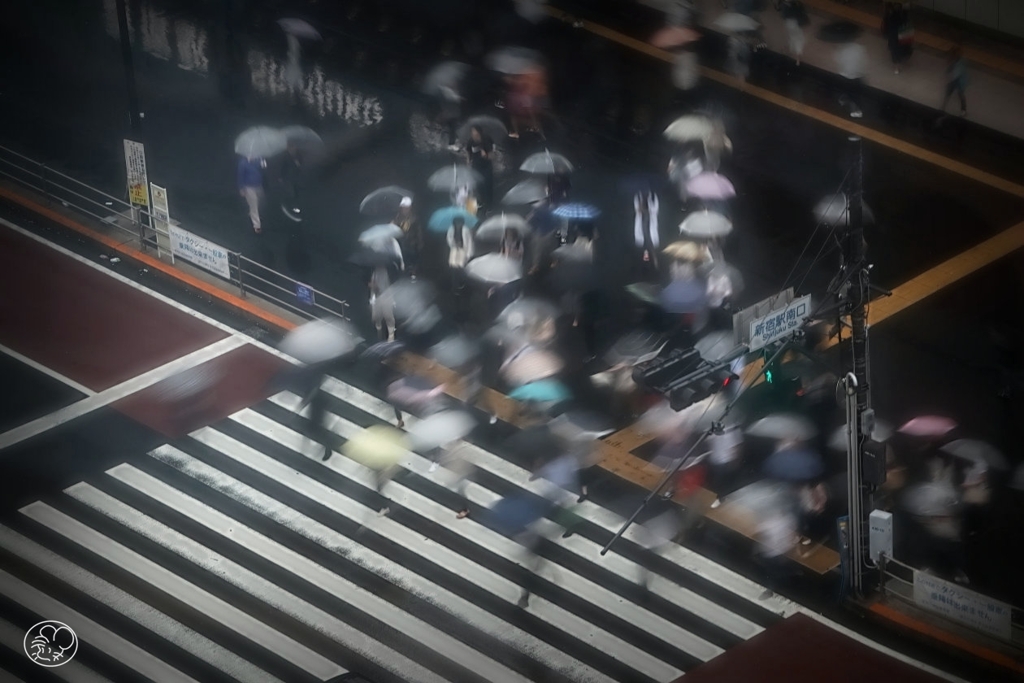 梅雨時　１
