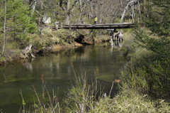 木橋