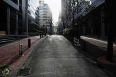 朝の散歩道 －６