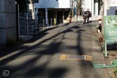 表参道界隈 －３